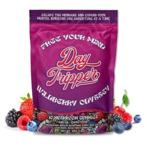 wildberry odyssey mushroom gummies | 10ct day tripper chocolate